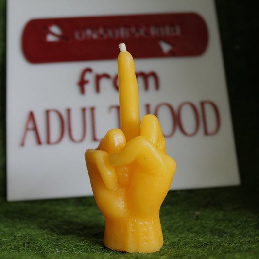 Burn It All Down (Politely)